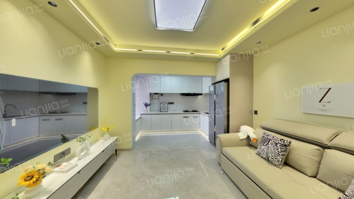 鑫兴·自由度二手房实景图