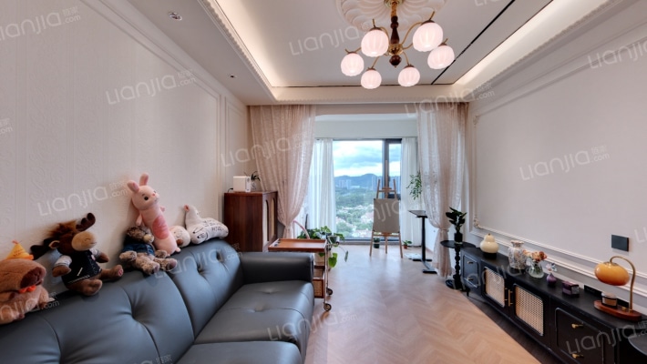 万科未来之光二手房实景图