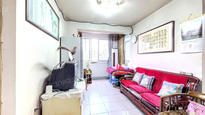 福飞路绿化队单位宿舍二手房实景图