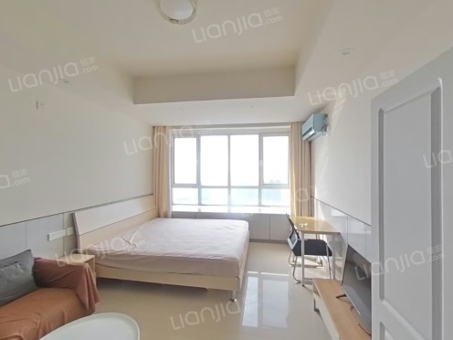 整租·万达39克拉 1室0厅 西