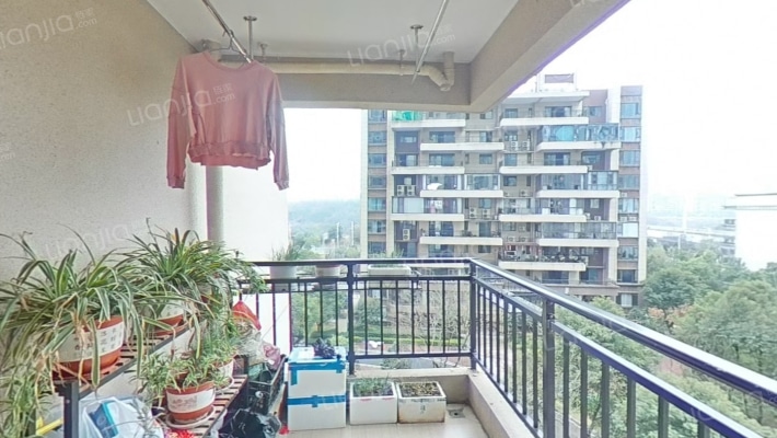 碧桂园盛棠二手房实景图