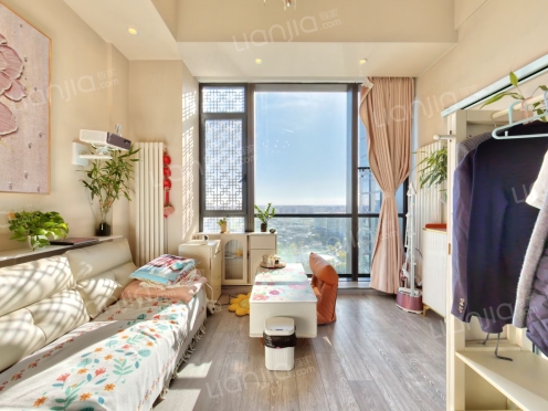 整租·新光大中心 1室1厅 复式 南