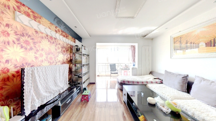 丽都家园二手房实景图