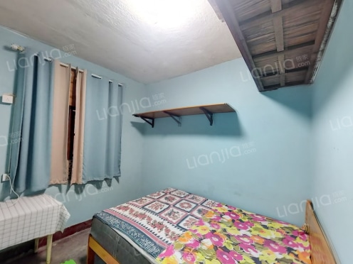 整租·大坪正街170号 1室1厅 东南