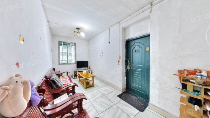 丽雅纤维215大院二手房实景图