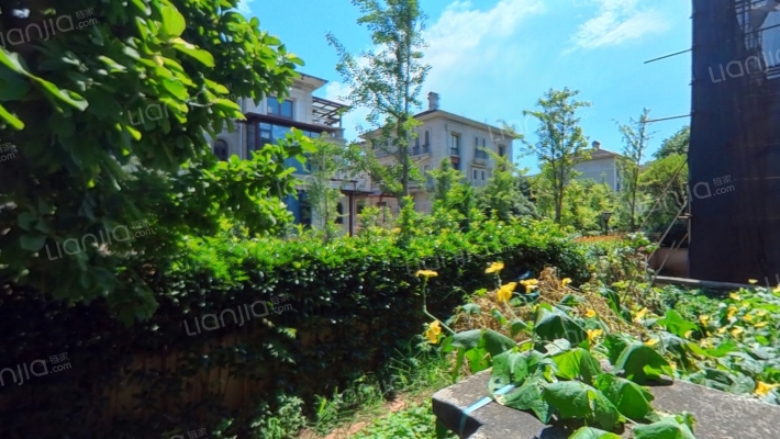 欧源原墅二手房实景图