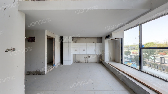 九里仓九山树二手房实景图