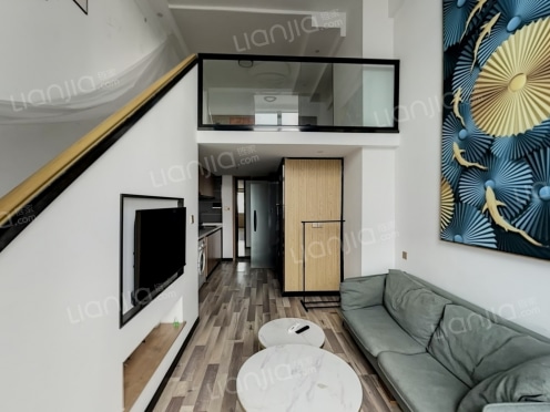 整租·海尔国际广场 1室1厅 南