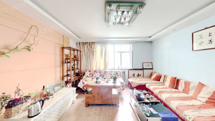 市饲料小区二手房实景图