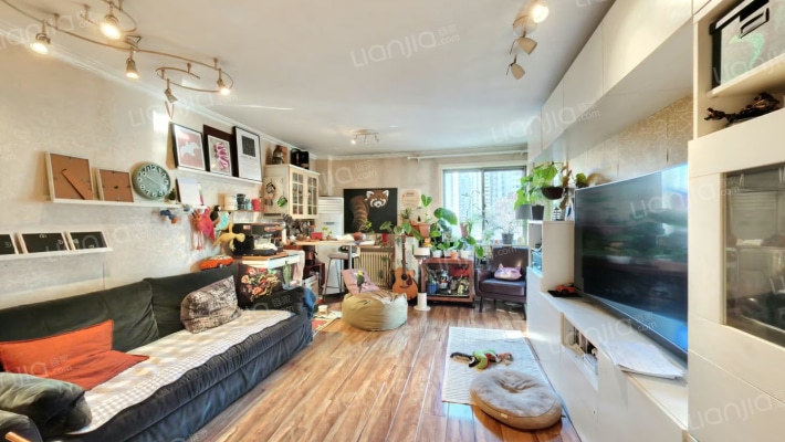 枫蓝国际二手房实景图