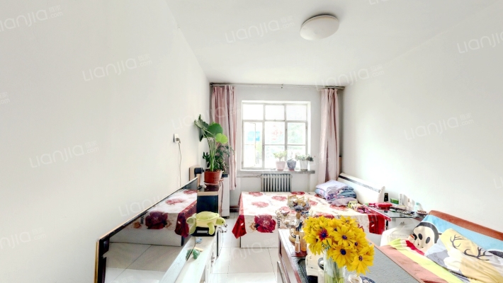 省图书馆家属院（读者大道）二手房实景图