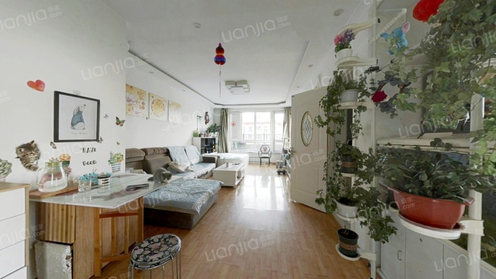 鑫泉金岗湾二手房实景图