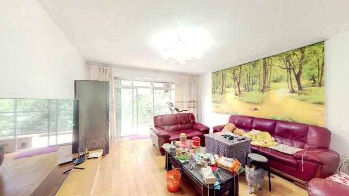 丽阳天下C区二手房实景图