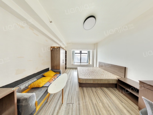 整租·万鑫中央广场 1室1厅 西