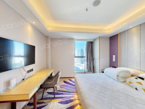 整租·三峰国际广场 1室0厅 南