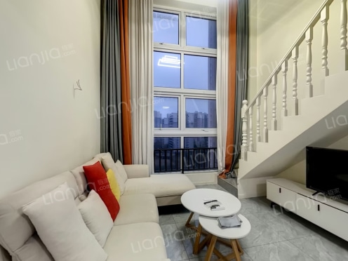 整租·财信新界 1室1厅 南