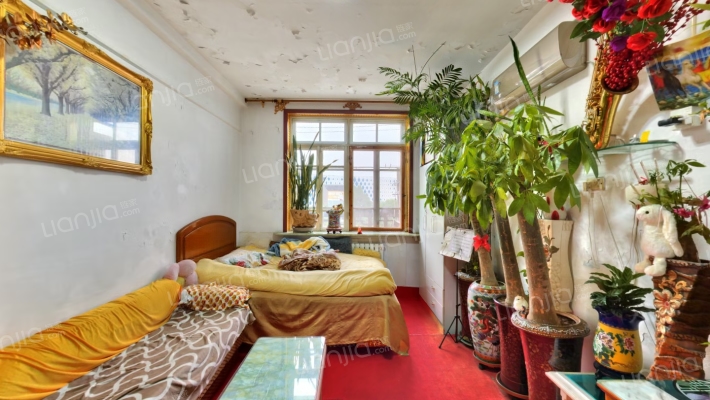 金二小学南二手房实景图