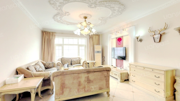 天润别墅二手房实景图