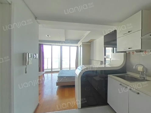 整租·达利广场 1室1厅 南