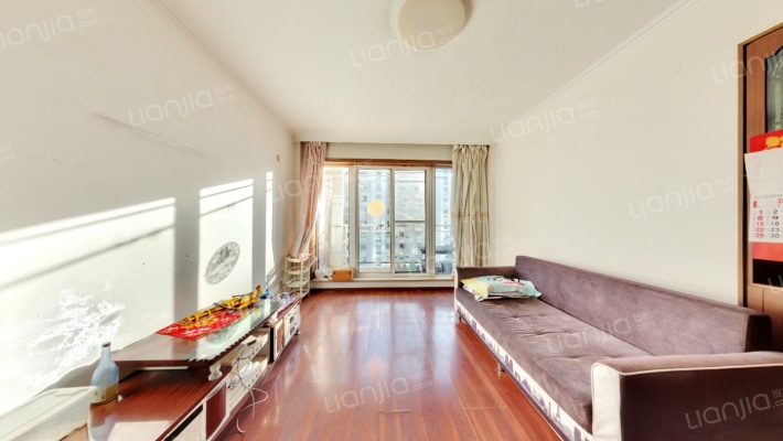 丽景春天二手房实景图