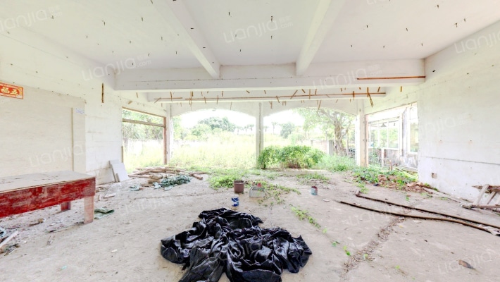 顺德碧桂园豪园独栋别墅二手房实景图