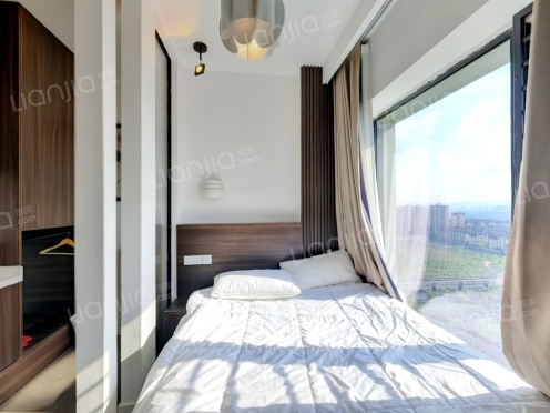 整租·金科天宸宸寓 1室1厅 南