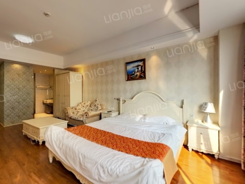 整租·万达广场 1室0厅 南