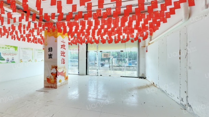 丽致星河二手房实景图
