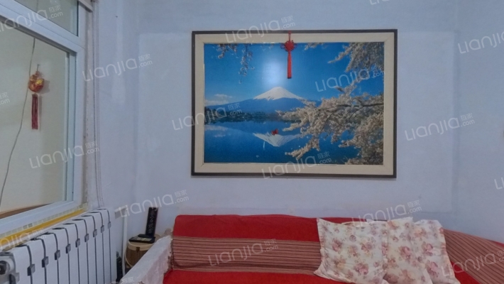 劳动路38号院二手房实景图