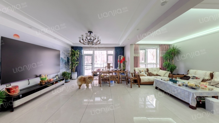 力旺康城C区二手房实景图