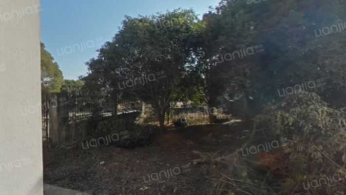 金华仙桥花木城二手房实景图