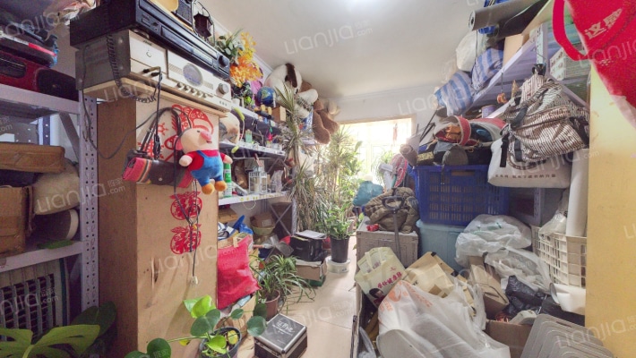 器件所宿舍二手房实景图