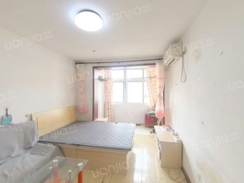 整租·东莞一路 1室1厅 南