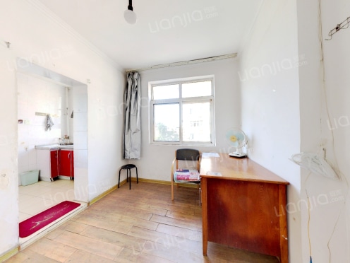 整租·齐东路 1室1厅 东/南/西/北