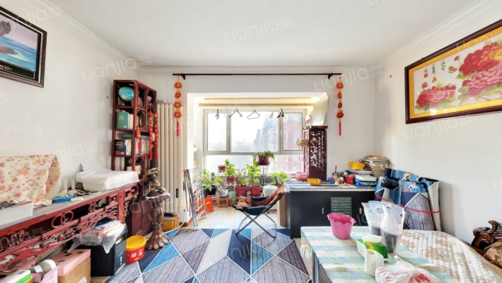 安平启城二手房实景图