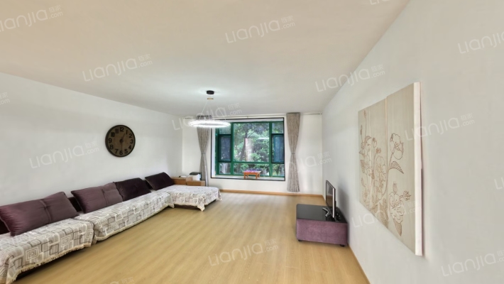 丛林背景二手房实景图