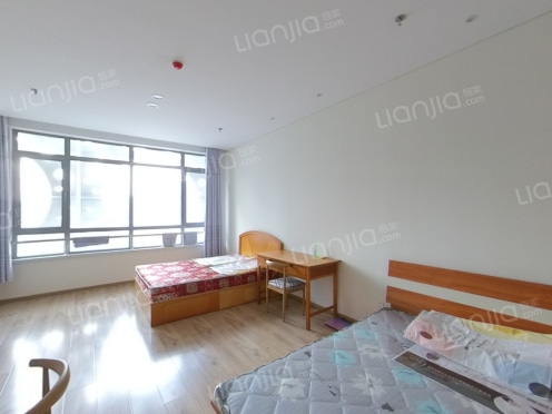 整租·青岛蓝色中心 1室1厅 南