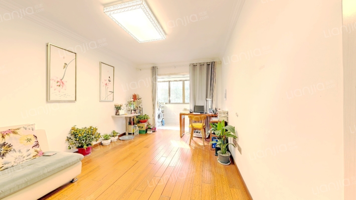 蚕种场新村二手房实景图