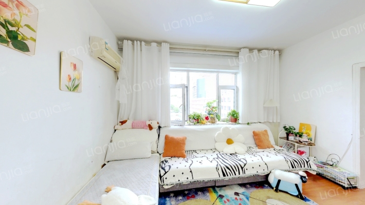 体工队宿舍二手房实景图