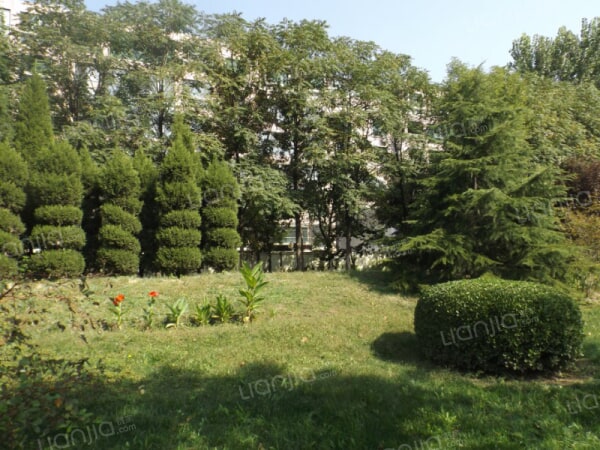 经典跃层 南北通透 单价低 随时看房_天津月牙湾街柏丽花园二手房推荐