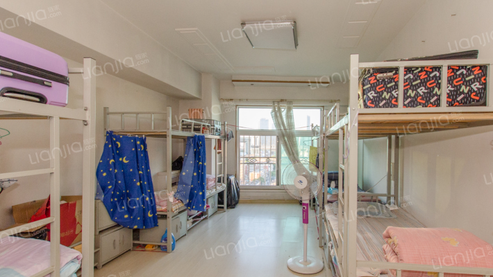 50a9490b-96a0-4ad3-ab6b-a93cdfd08384.jpg.710x400.jpg