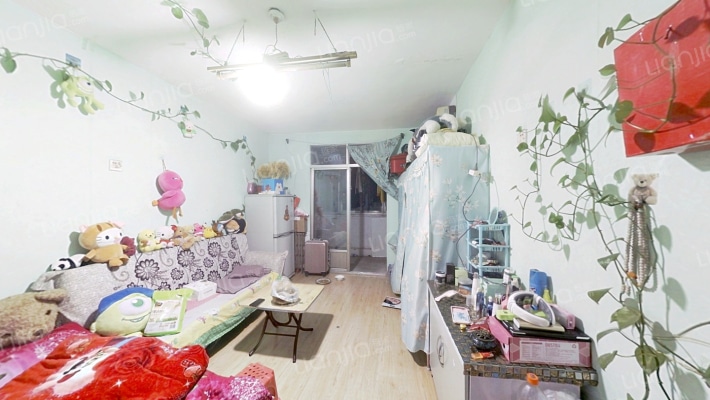 程林一村二手房实景图