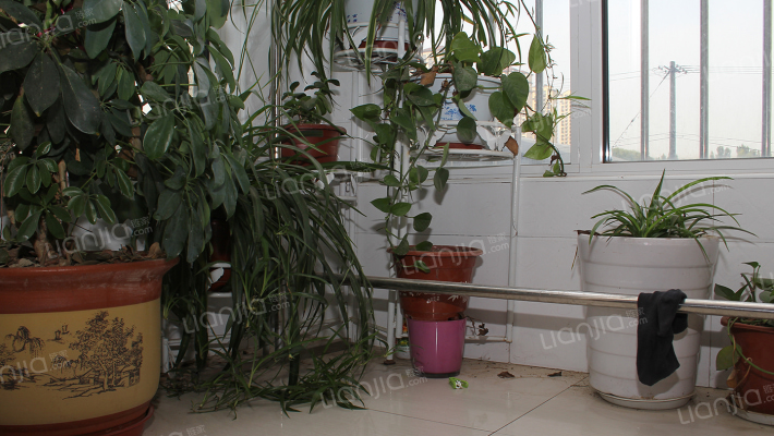 业主诚售好房，精装南北向，房本满两年，随时签约-阳台