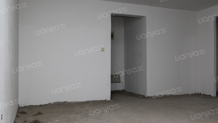 房本满二 南向采光视野无遮挡 价格可议 看房随时-客厅