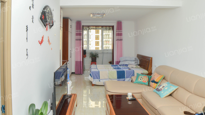 精装一居       新证     中间楼层-卧室