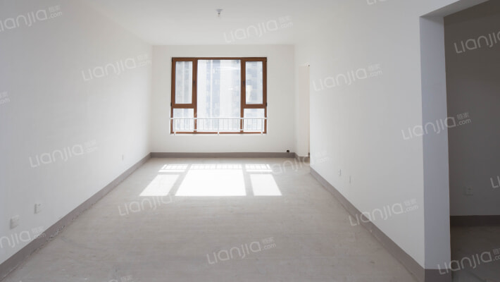 鸿坤南区 全阳三居 毛坯随意装修 好楼层 无遮挡-客厅