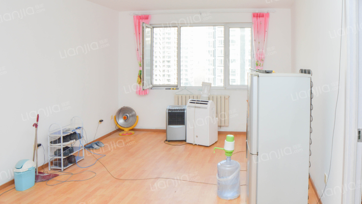 繁华地段北京理想城 房主靠谱 产权清晰 环境优美-客厅