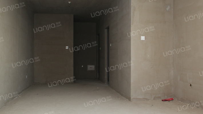 楼层好 毛坯好装修，房本满五年-客厅