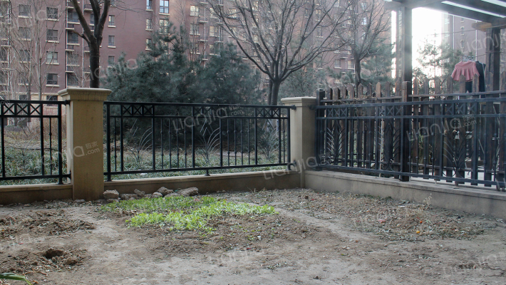 一层带花园  精装婚房 南北通透全明三居 有本-花园