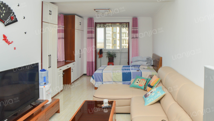 精装一居       新证     中间楼层-卧室